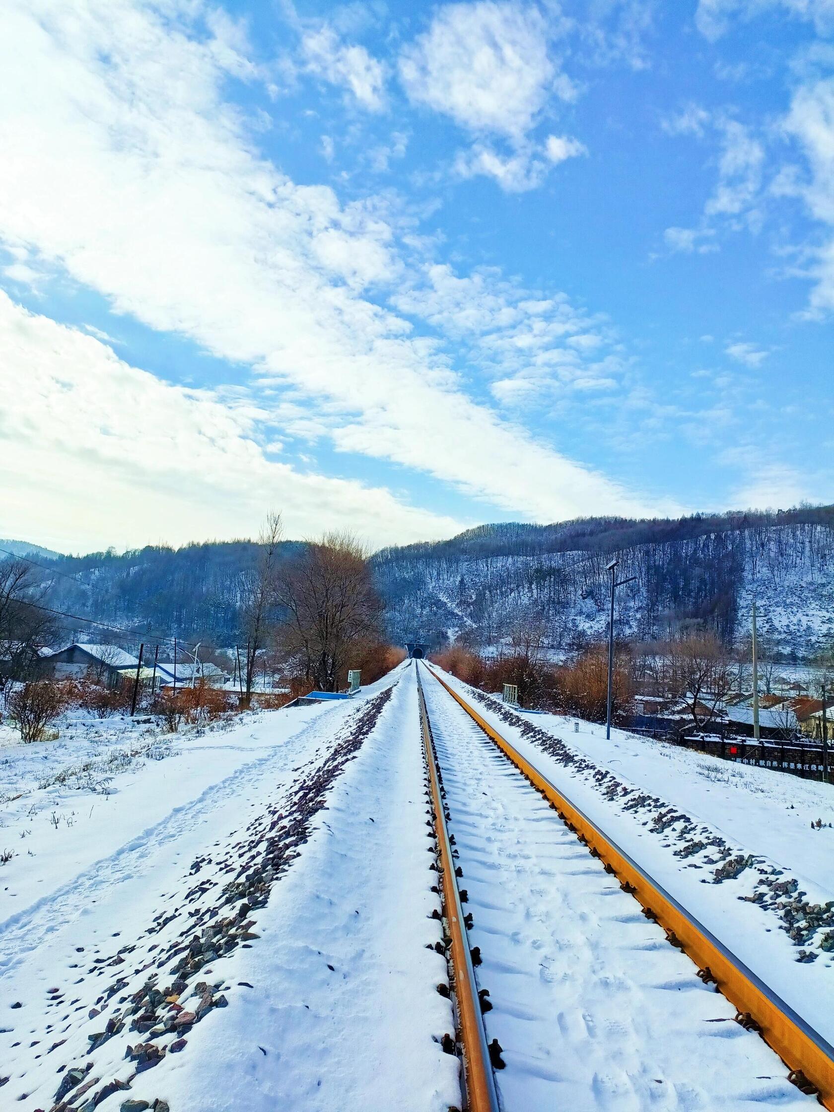 A serene winter train track surrounded by snow-covered trees, a classic Northeast China winter scene.