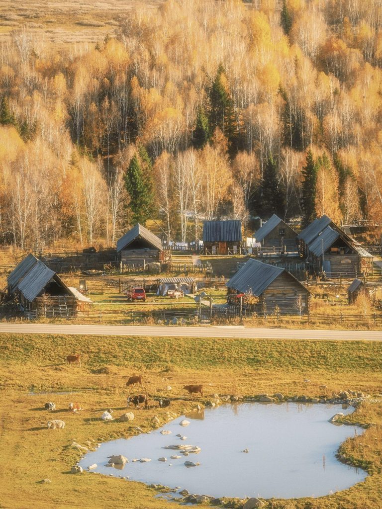A tranquil rural scene with a small lake, houses, and trees, reflecting the serene aspects of the Shanxi Taihang Exploration.