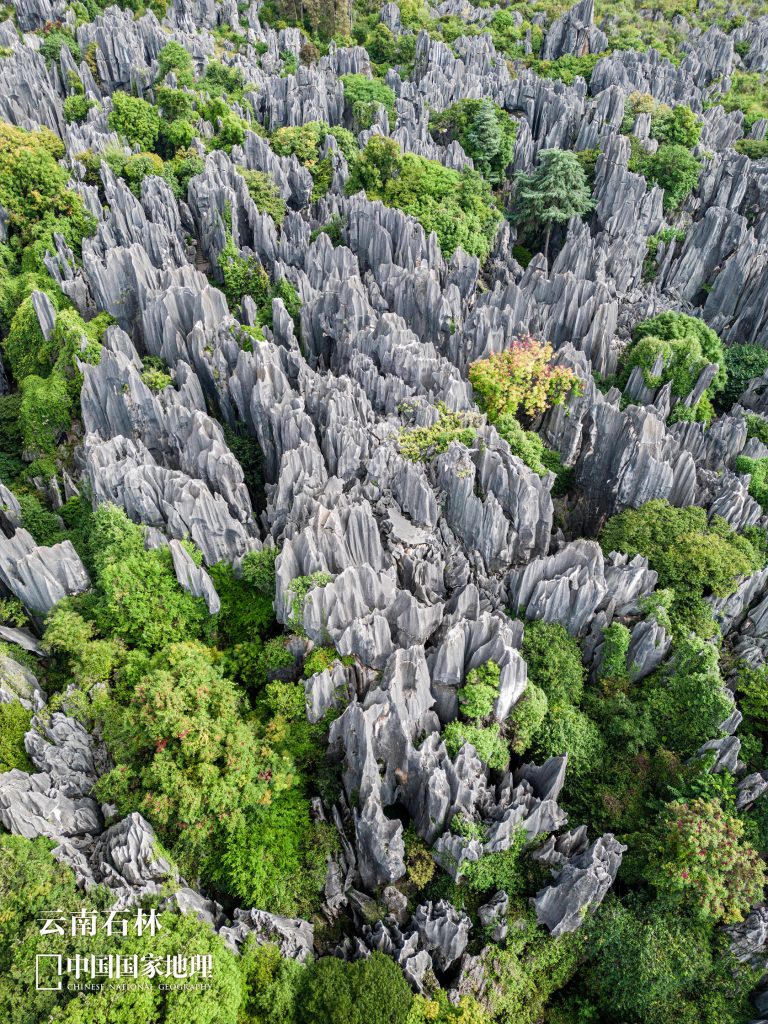 An aerial view of the Yunnan Stone Forest, showcasing its unique karst topography, a distinct geological feature compared to the Shanxi Taihang Exploration sites.