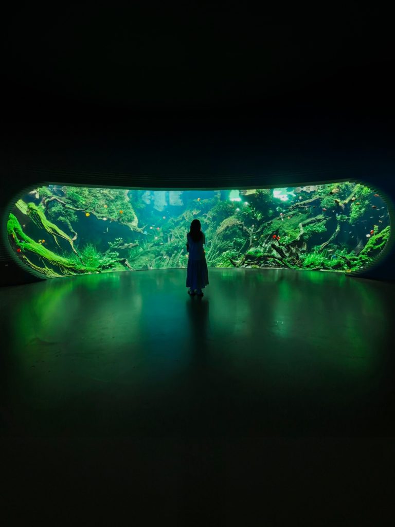 Baoshan industrial ruins exploration