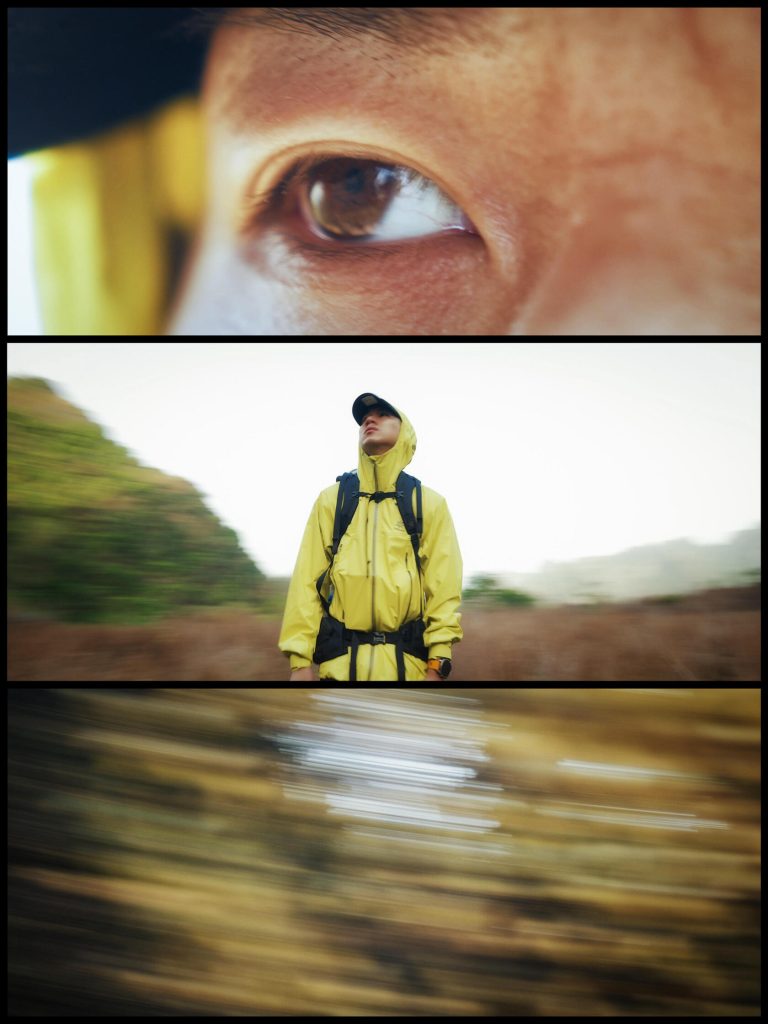 A person in a yellow jacket hiking through a dense, ancient olive forest, part of a stunning Guangdong Nature Adventure.