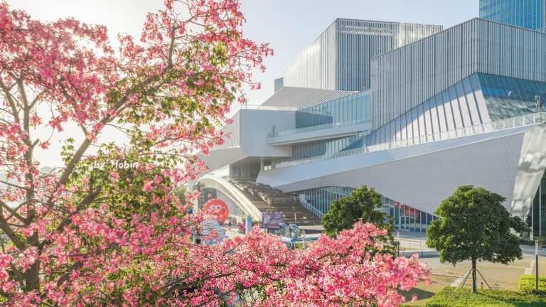 Unforgettable 5-Day Guangdong Nature Adventure: My Journey Through China’s Hidden Gems