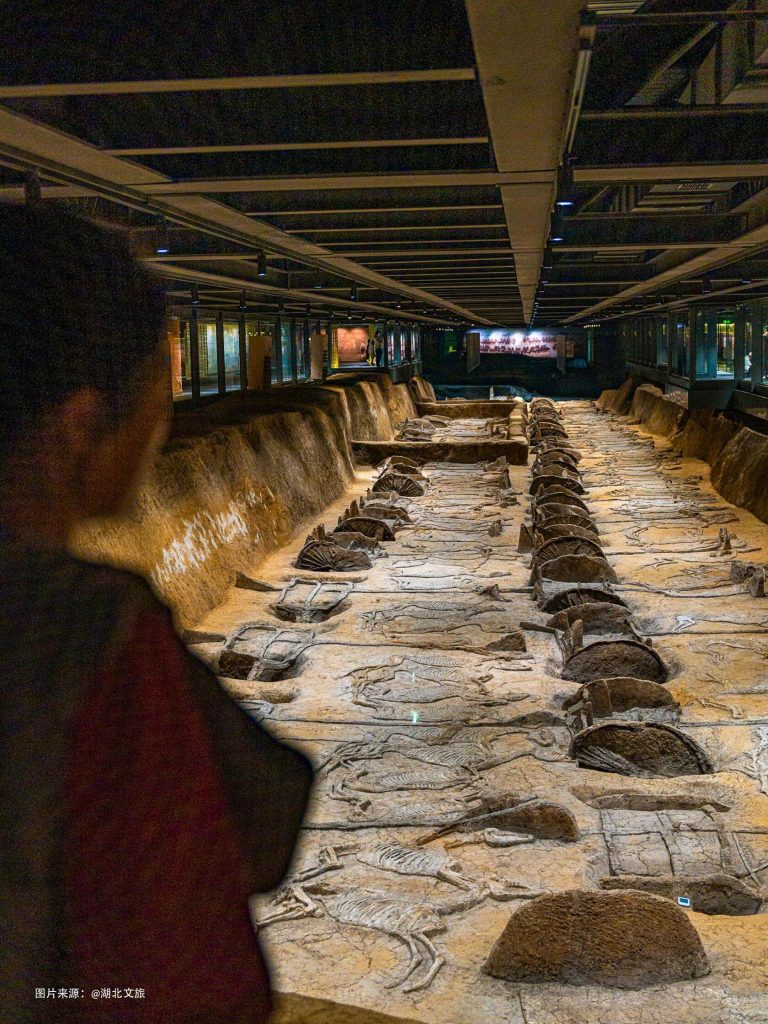 Inside the Panlongcheng Museum, remnants of an ancient civilization laid bare.