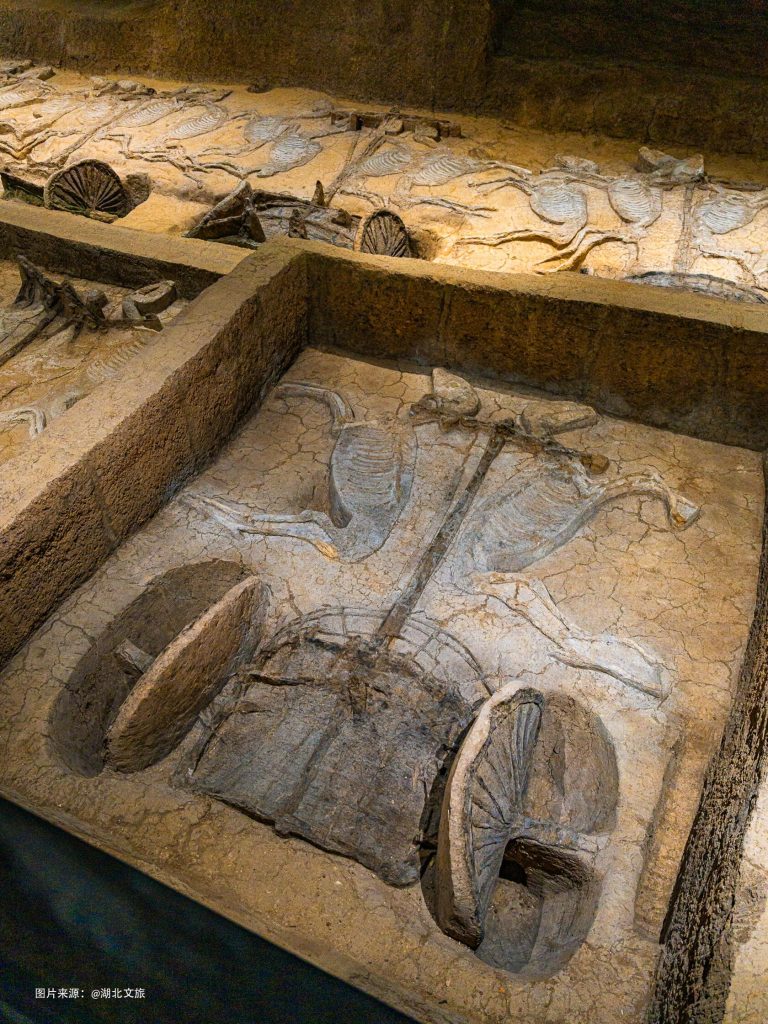 An excavated chariot and horse burial pit, revealing ancient military practices.