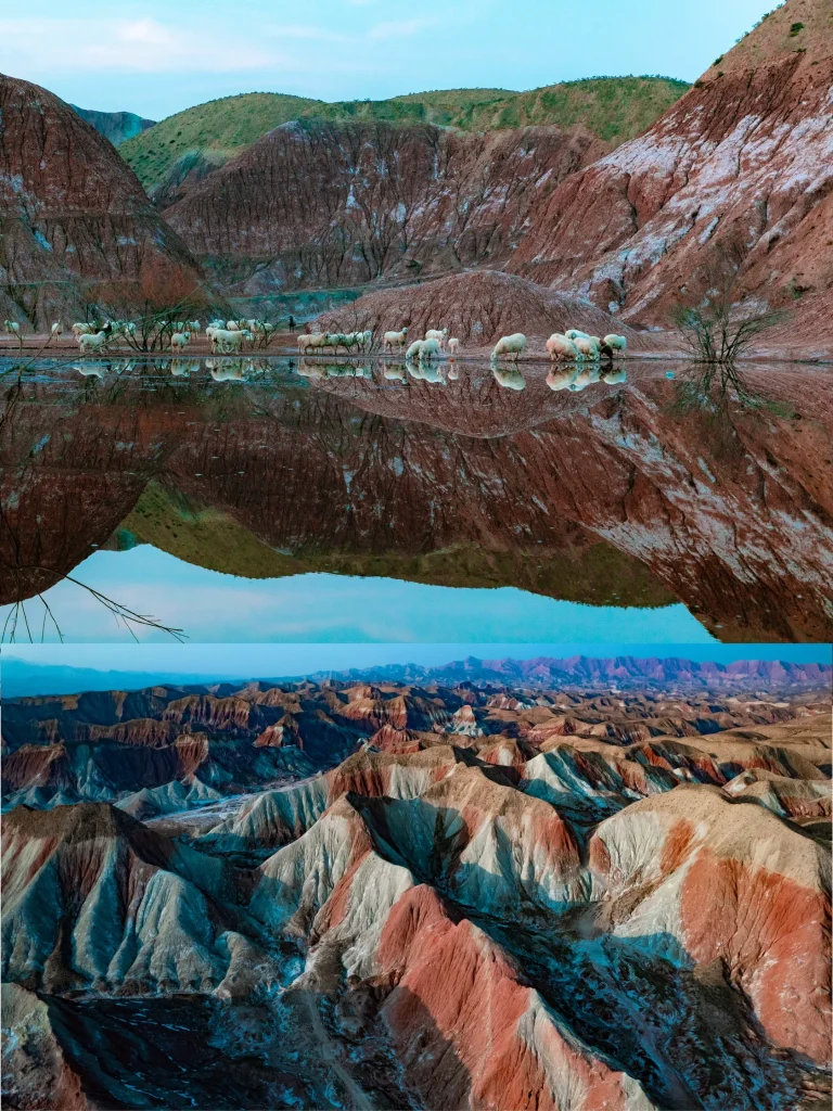 A split image showing sheep near water and colorful Danxia landforms, highlighting Gansu's diverse natural beauty.