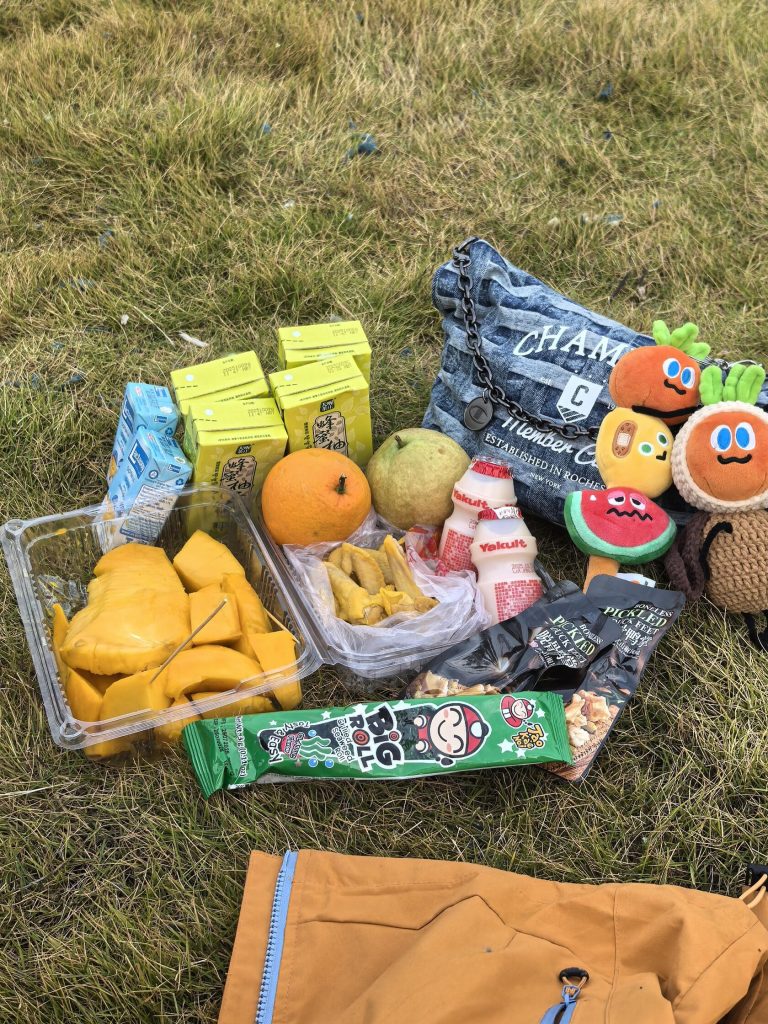 Concert snacks prepared for the Mayday show, essential for a long Guangdong Self-Drive Tour day.
